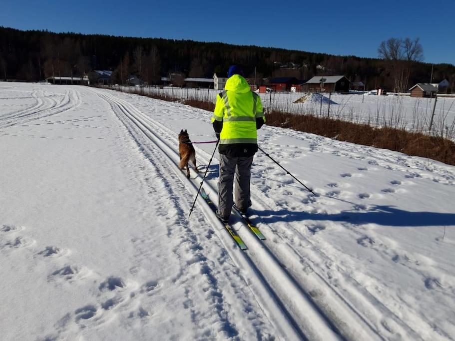 Ladansloft Apartman Stöllet Kültér fotó