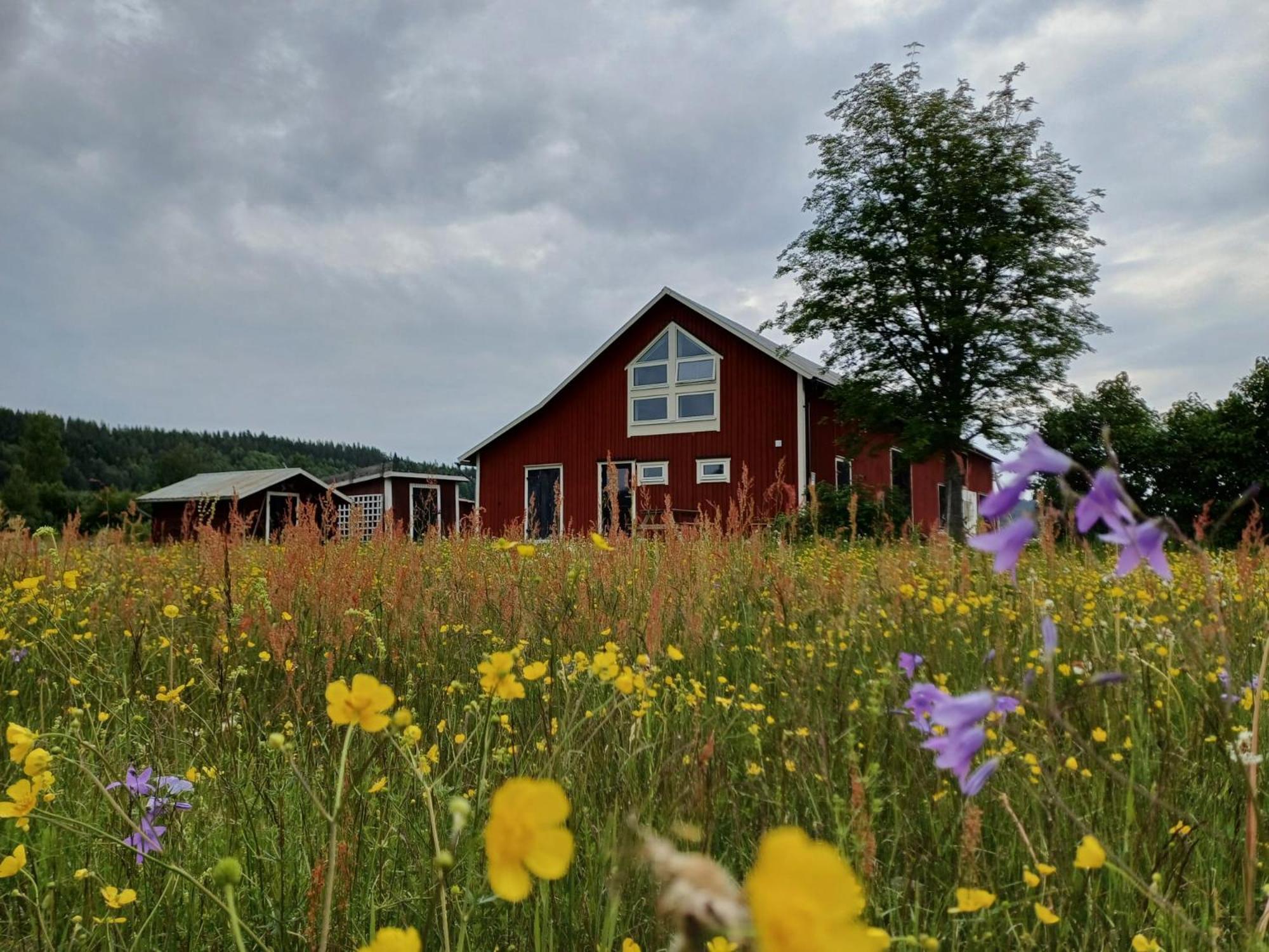 Ladansloft Apartman Stöllet Kültér fotó