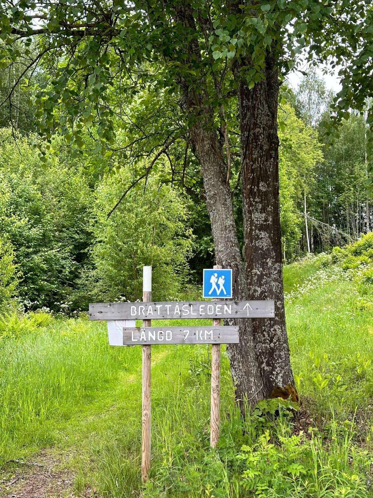 Ladansloft Apartman Stöllet Kültér fotó